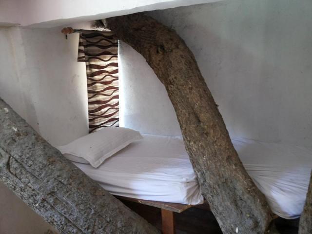 Junglee Resort Rajaji National Park Rishīkesh Oda fotoğraf