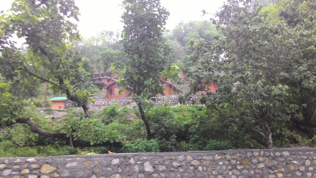 Junglee Resort Rajaji National Park Rishīkesh Oda fotoğraf